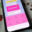 주니 퍼니 | 인스타그램 팔로워 늘리기 무료 퍼니클릭 사용 후기와 추천 이유