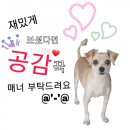 플란다스펜션