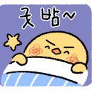 더키움 동물병원 이미지