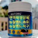 면역력영양제 뉴질랜드 프리미엄 초유 면세점 직구 할인코드 선착순