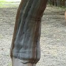 온새미로 이미지