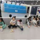 동영태권도장 | 도곡동줄넘기 동영태권도장에서의 특별한 경험