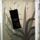 제주 스탠다드 이미지