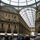 겔러리아 이미지