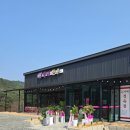 오가네 | [경주] 경주 고기 맛집, 현지인 추천! 가성비 좋은 &#39;오가네 한우 본점&#39; 솔직 후기
