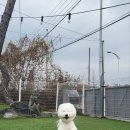 딩동댕 살롱 이미지