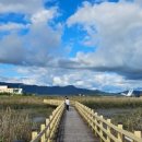 홍교수산 이미지