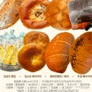 세븐스타즈광주본점 | 광주 빵페스타 다녀온 후기 + 소소한 일상(국립아시아 문화전당 하늘마당, 쌍촌동 취화선 , 사이드와인다 )