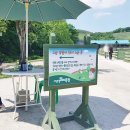 들푸른축산 | 평창가볼만한곳 드넓은 초원 위의 대관령 양떼목장!