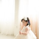 더카멜리아