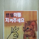 고양이 다락방 네이버블로그