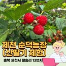 순덕농장 이미지