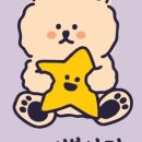 꼬리별디자인