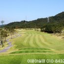 (주)캐슬렉스서울 티스토리