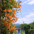 구소석길 이미지