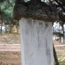 선충사 이미지