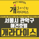 개라다이스 이미지