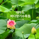 태전공원 벽천폭포 앞 | 대부도 가볼만한곳 바다향기수목원 여름산책지