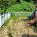 교현초교 병설유치원 이미지