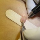 메어리벳의원 이미지