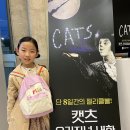윙크 울산성남점 | 뮤지컬 캣츠 오리지널 내한 대구 공연 젤리클석 바로 옆 R석 기대이상이야!