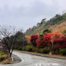 문경레저타운골프장 | ‘문경레저타운’에서의 아침식사