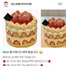 네스트베이커리카페