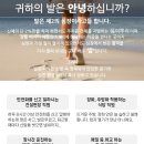 포베라(Povera) 이미지