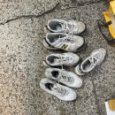 백양드라이크리닝 이미지