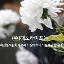 대노라이프 이미지