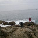 동해축산 이미지