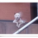 볼수록 이미지