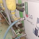 부성약품 이미지