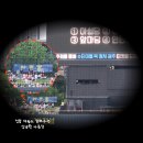 ACC 브런치 콘서트(패밀리) | 기아챔피언스필드 야구직관 후기 (with ACC)