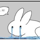 피플러스