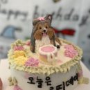 오늘뿐이개 이미지