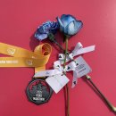 치킨 42.195 | 2025년 마라톤 대회 상반기 결산(+추천대회)