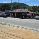 허니포레스트 | 원주 판부면 카페 허니포레스트 후기