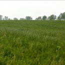 허브목장 이미지