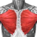 팀JJ피트니스옥계점 이미지