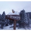산이네집 이미지