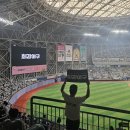 최강야구 직관 이미지