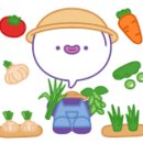영희네 산지직송
