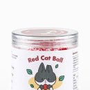 베베캣 고양이 이미지