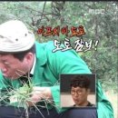 도토 이미지