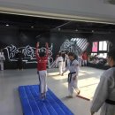 경희대진무태권도장 이미지