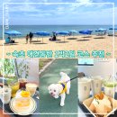 267-2-000008 | [Life] “속초” 애견동반 🐶 1박2일 코스 추천 (feat. 망고 케이크 카페 추천, 막국수 맛집 추천💗)