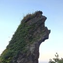 케니서귀포/천지연폭포/덕성원/올레시장할머니떡집/개기월식/올레시장/기흥어물/신촌흑돼지강정/한라산소주