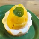 어스케이크 이미지