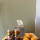 스테이874 이미지